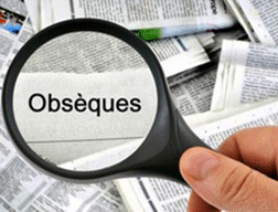 Odoo - Echantillon n°1 pour trois colonnes